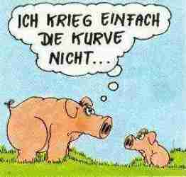 Schwein_6   bei Lulu